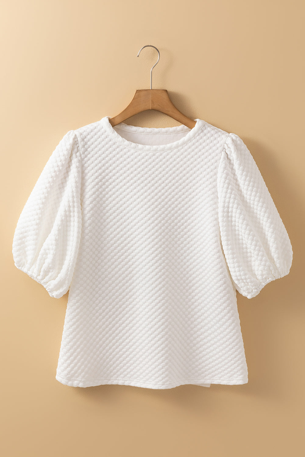 Textured O Neck Puff Sleeve Blouse