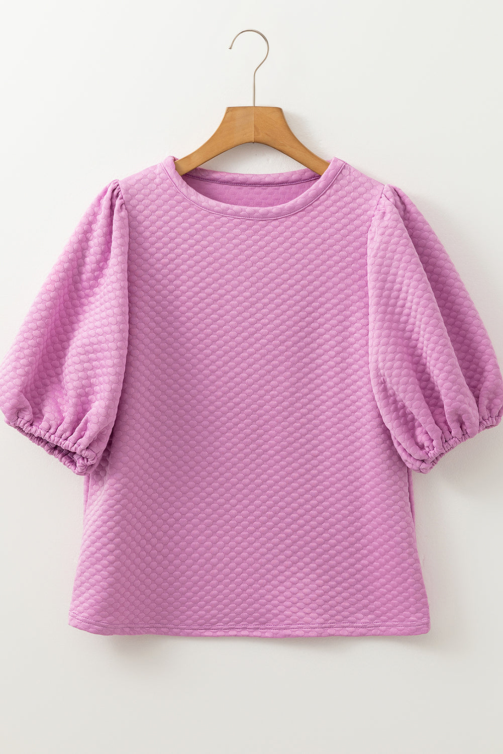Textured O Neck Puff Sleeve Blouse