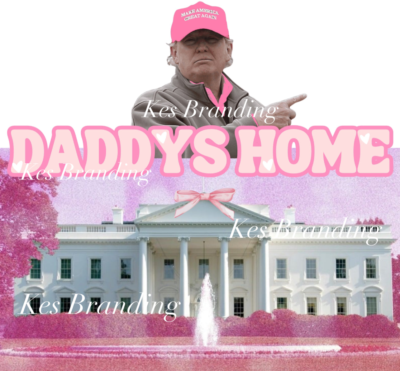 Daddy’s Home File