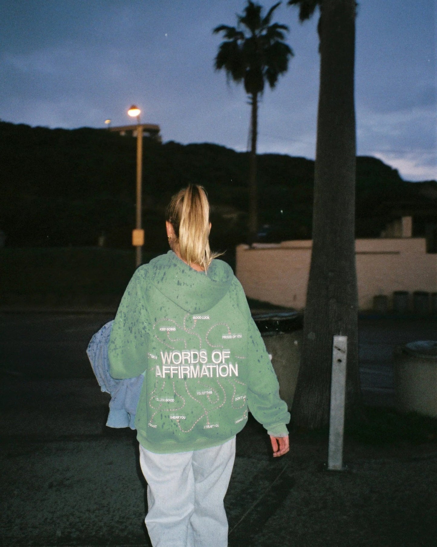 Embroidered hoodie