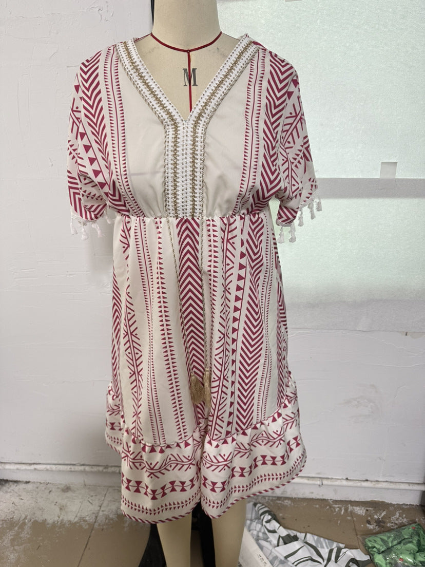 Embroidered Collar Dress